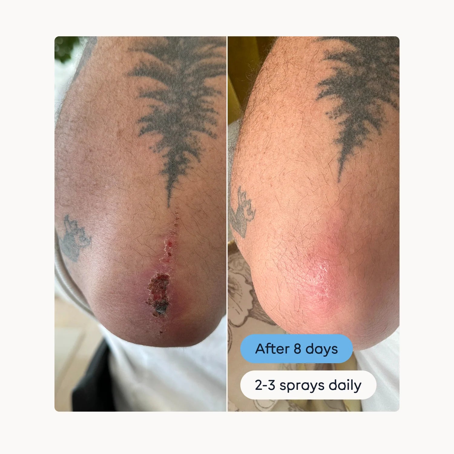 Magic Molecule Hypochlorous Acid Spray (Mini Size)